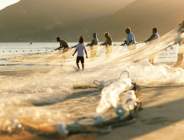 Pesca da Tainha: Tradição, Cultura e Economia Local